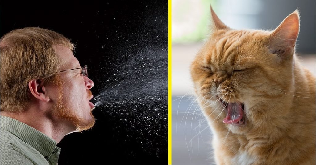 Vaksin alahan pada kucing