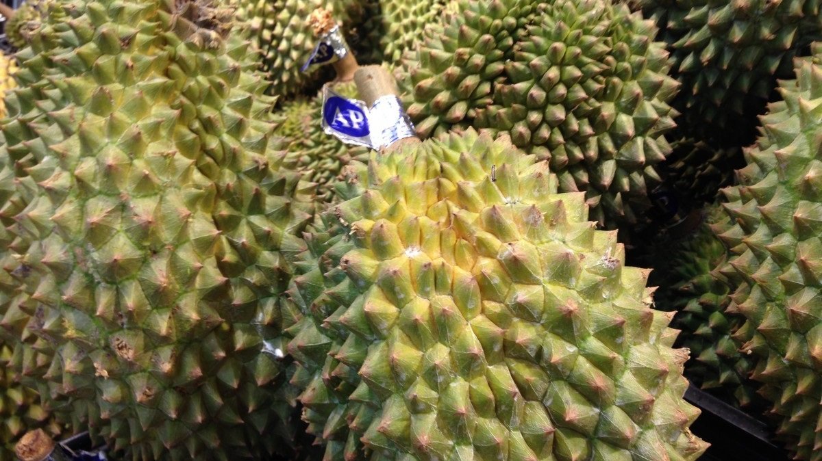 khasiat buah durian