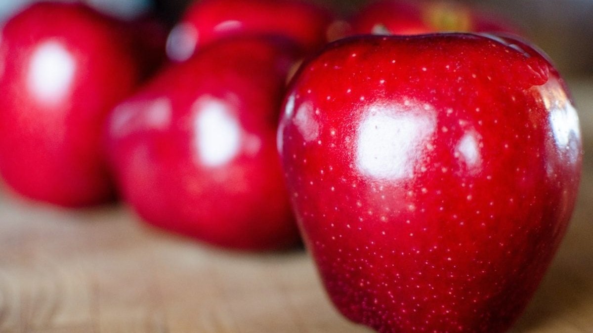 khasiat buah epal