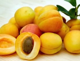 khasiat buah aprikot