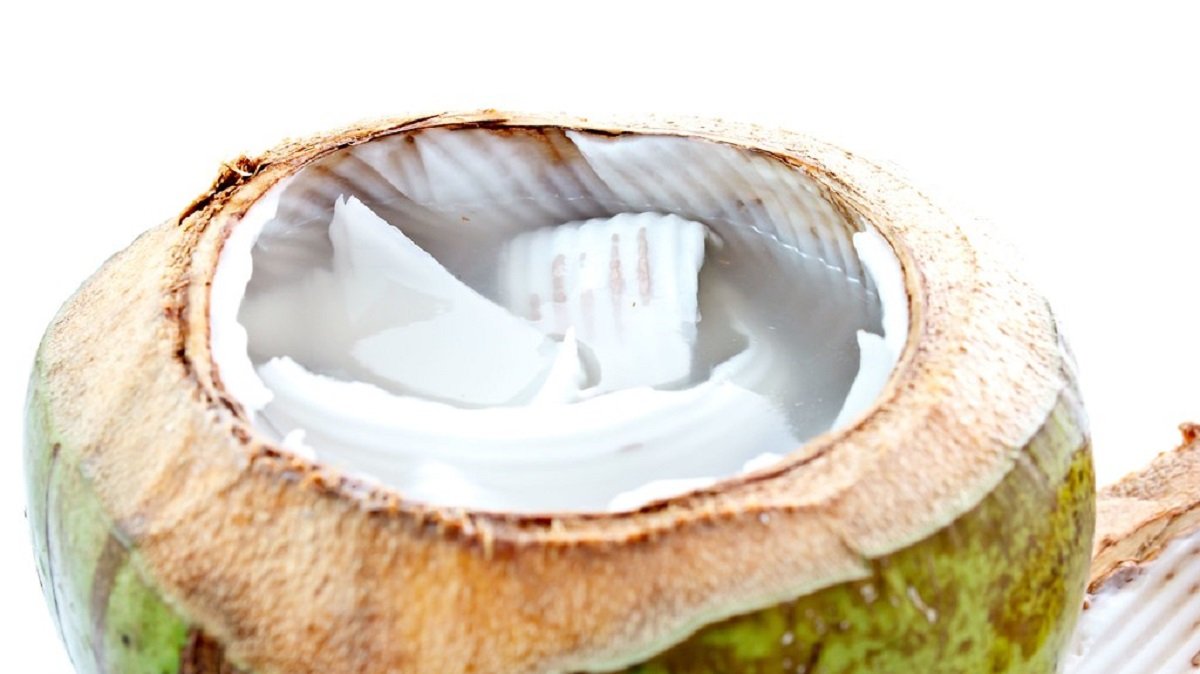 khasiat air kelapa