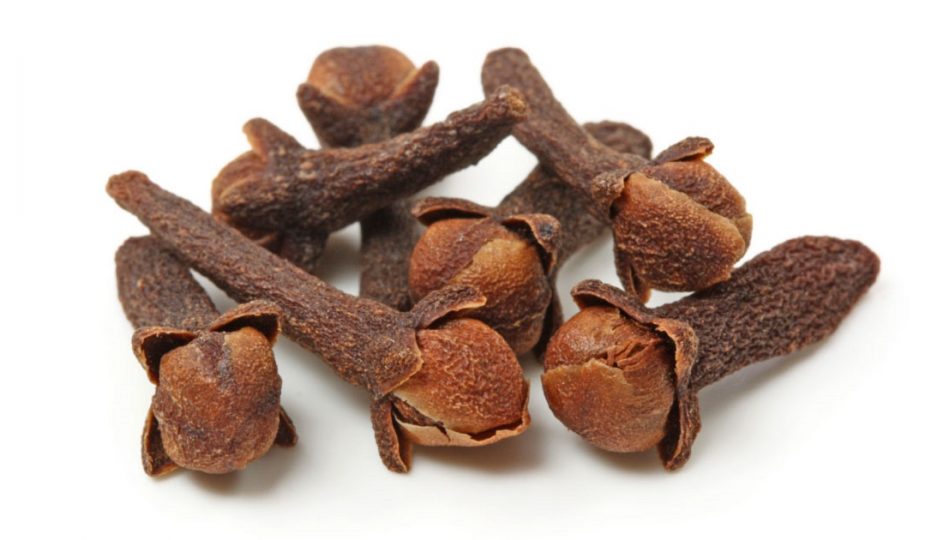 10 Khasiat Bunga Cengkih Pada Kesihatan Badan The Diagnosa