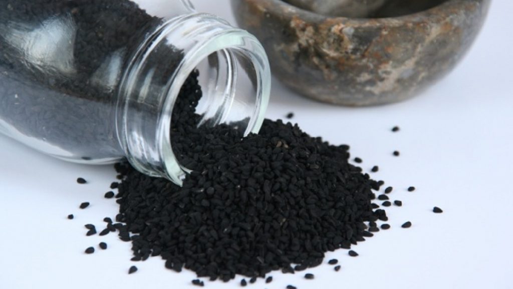 khasiat habbatus sauda