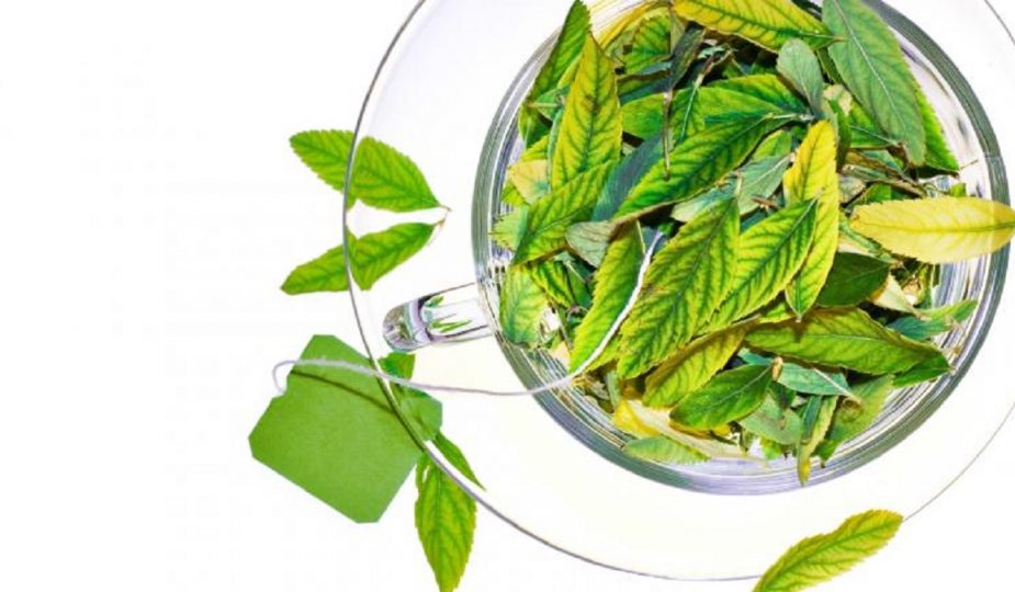 khasiat teh hijau