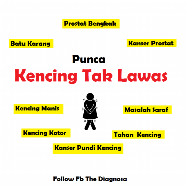 Kencing Tak Lawas: Punca Dan Cara Rawatan - The Diagnosa