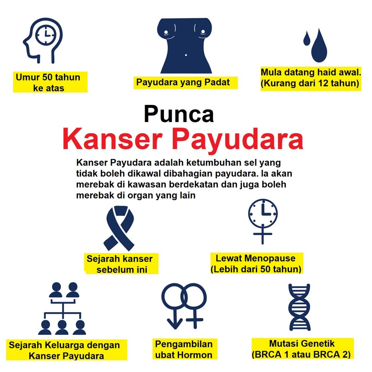 Kanser Payudara: Punca, Simptom Dan Rawatan - The Diagnosa